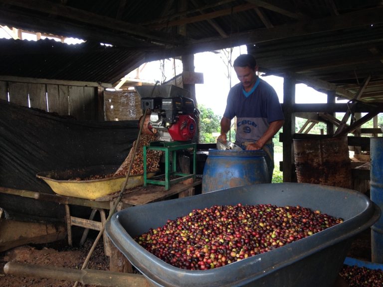 Tierra Colombia 4 (1)