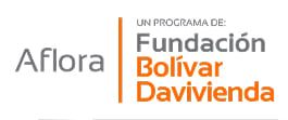 fundación bolívar davivienda